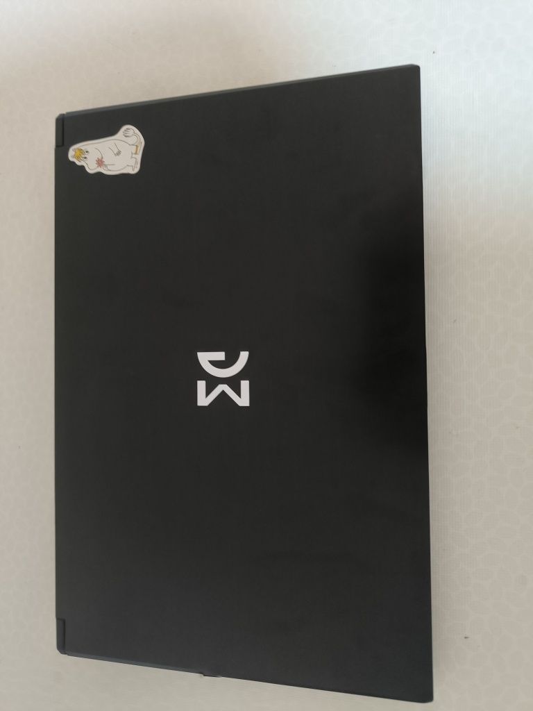 Laptop DM i7 13700H, 17"
