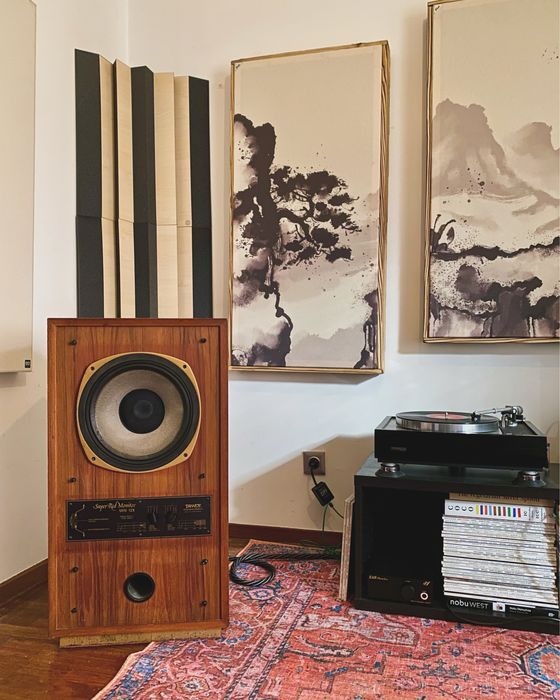 Colunas Tannoy SRM 12X