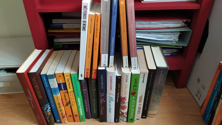 Lote livros variados