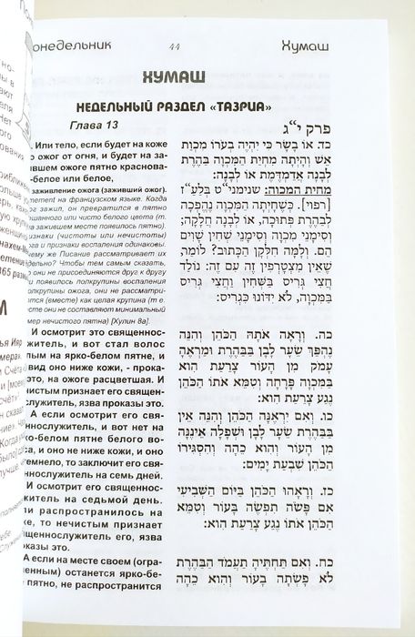 ТАЗРИА МЕЦОРА Главы Хумаш Теилим Тания