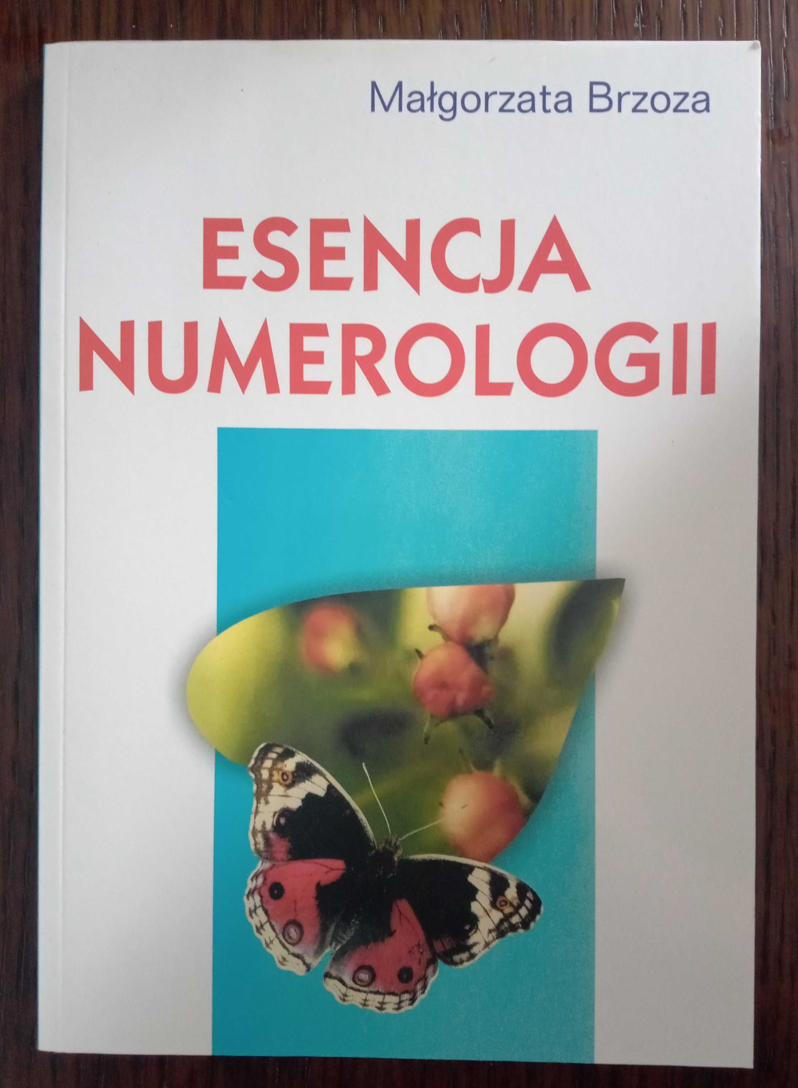 Esencja numerologii - Małgorzata Brzoza