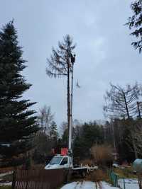 Alpinistyczne usuwanie trudnych drzew Arborysta warmińsko-mazurskie