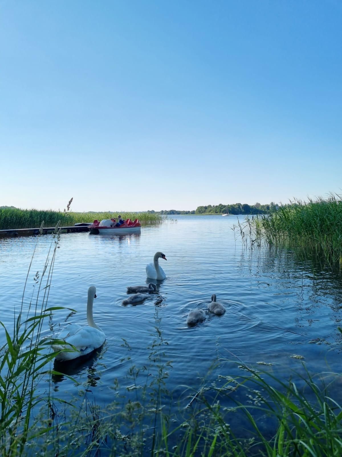 Noclegi, pokoje i apartamenty - Rajgród