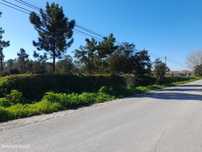 Azeitão Terreno com 10500 M2 de gaveto.
