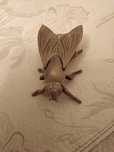 Mosca em Bronze que se abre