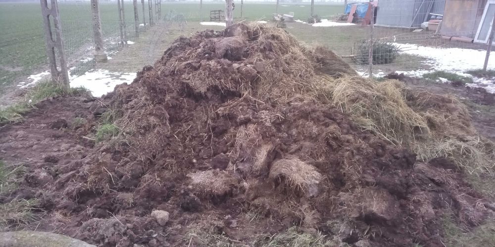 Obornik wymienię zamienię z zboże