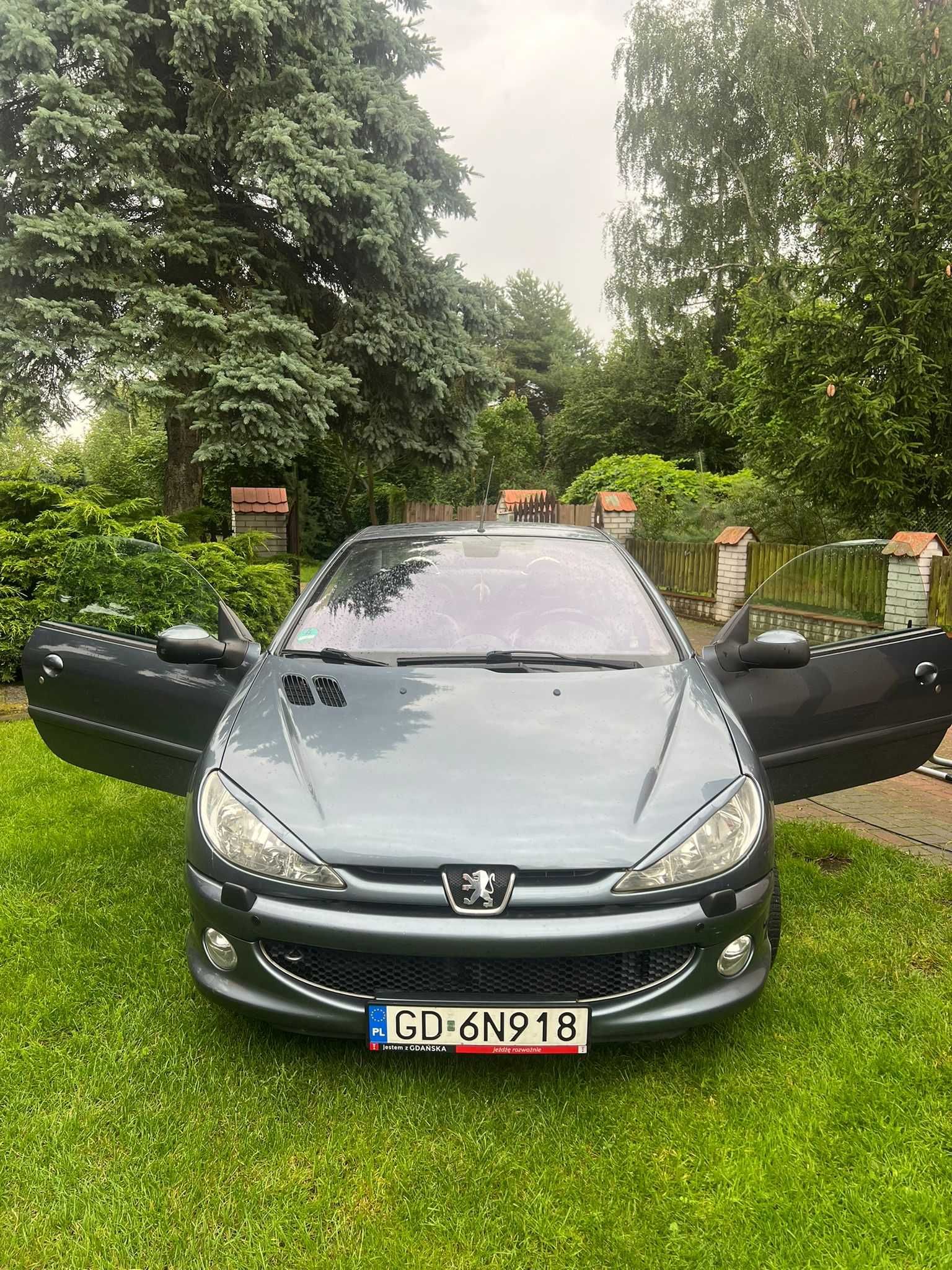 Peugeot 206CC 2005r. 1.6 diesel