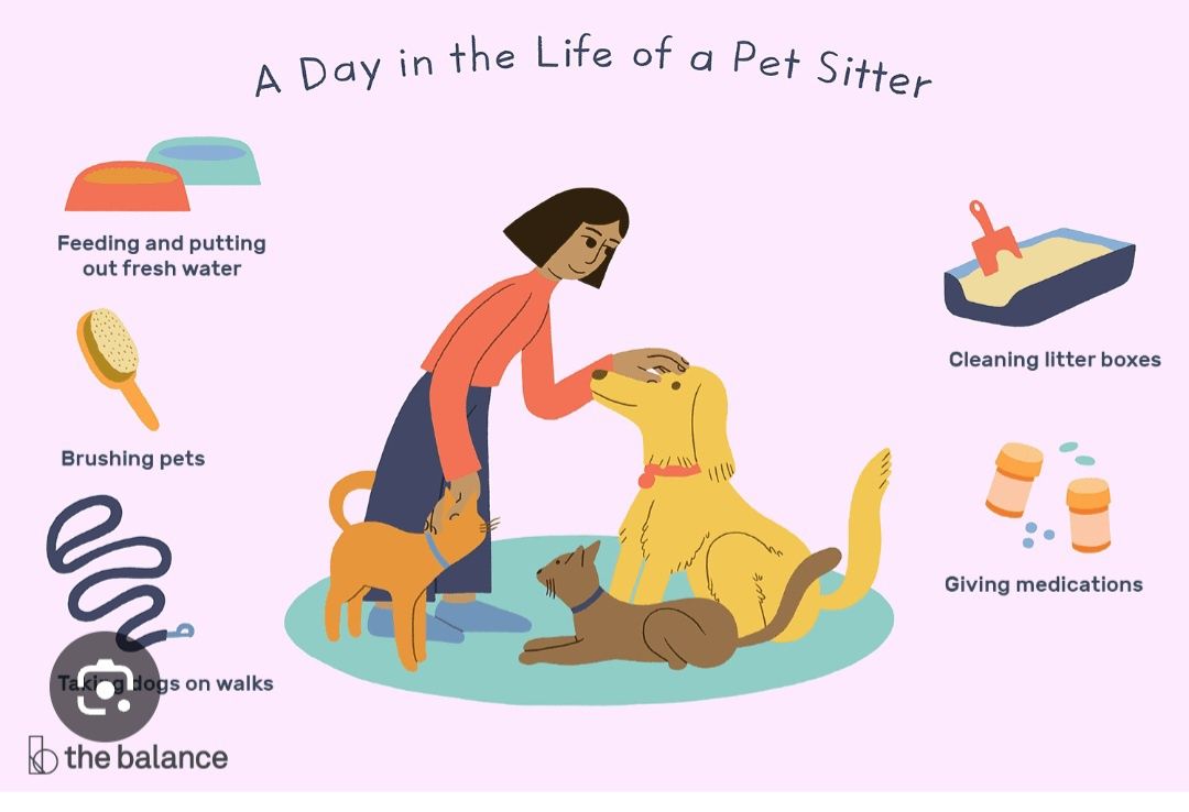 Pet sitting na sua casa!