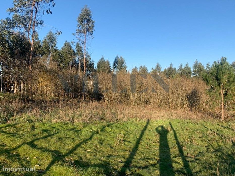 Terreno Industrial com Grande Potencial - Guidões, Trofa