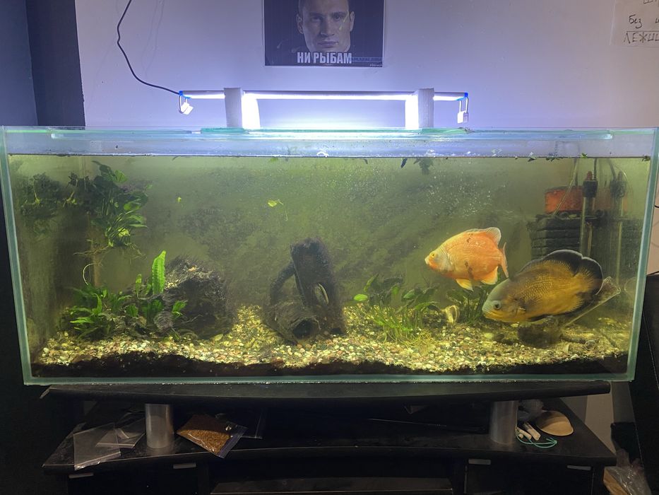 Продам акваріум та полку