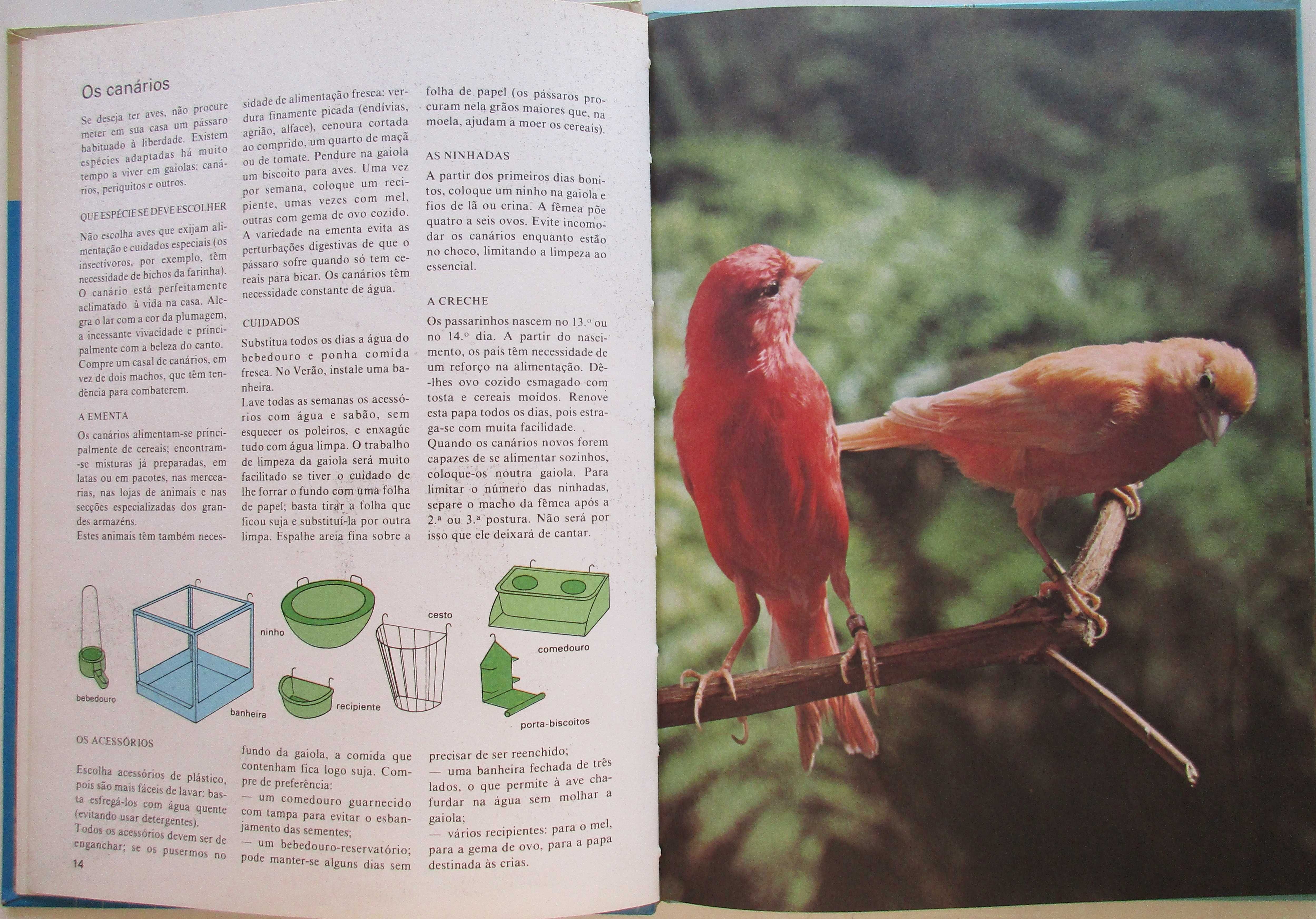 Marcel Everaere - - - Animais em Casa - - - - - Livro