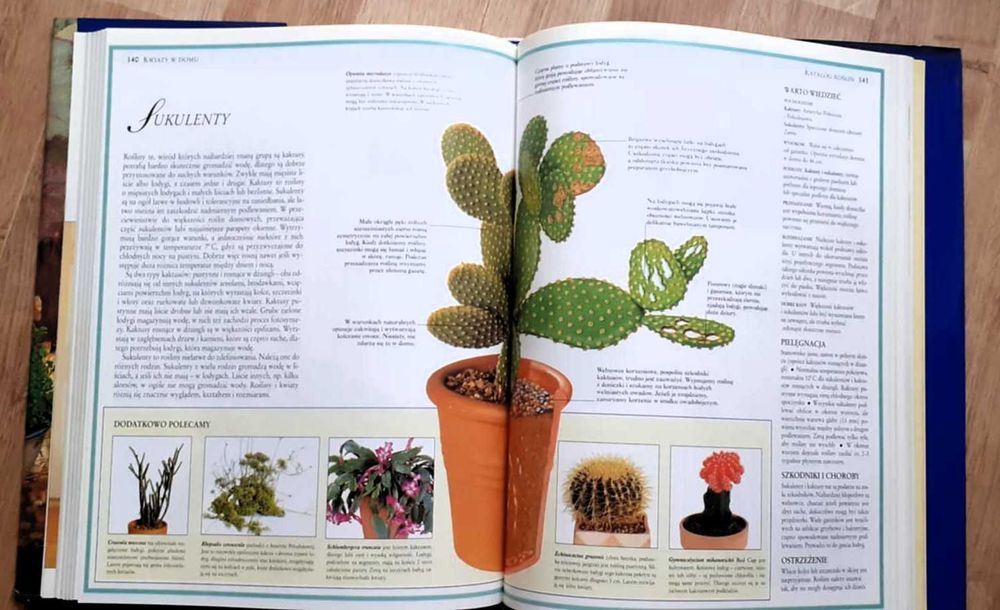 Kwiaty w domu - J. Courtier i G. Clarke