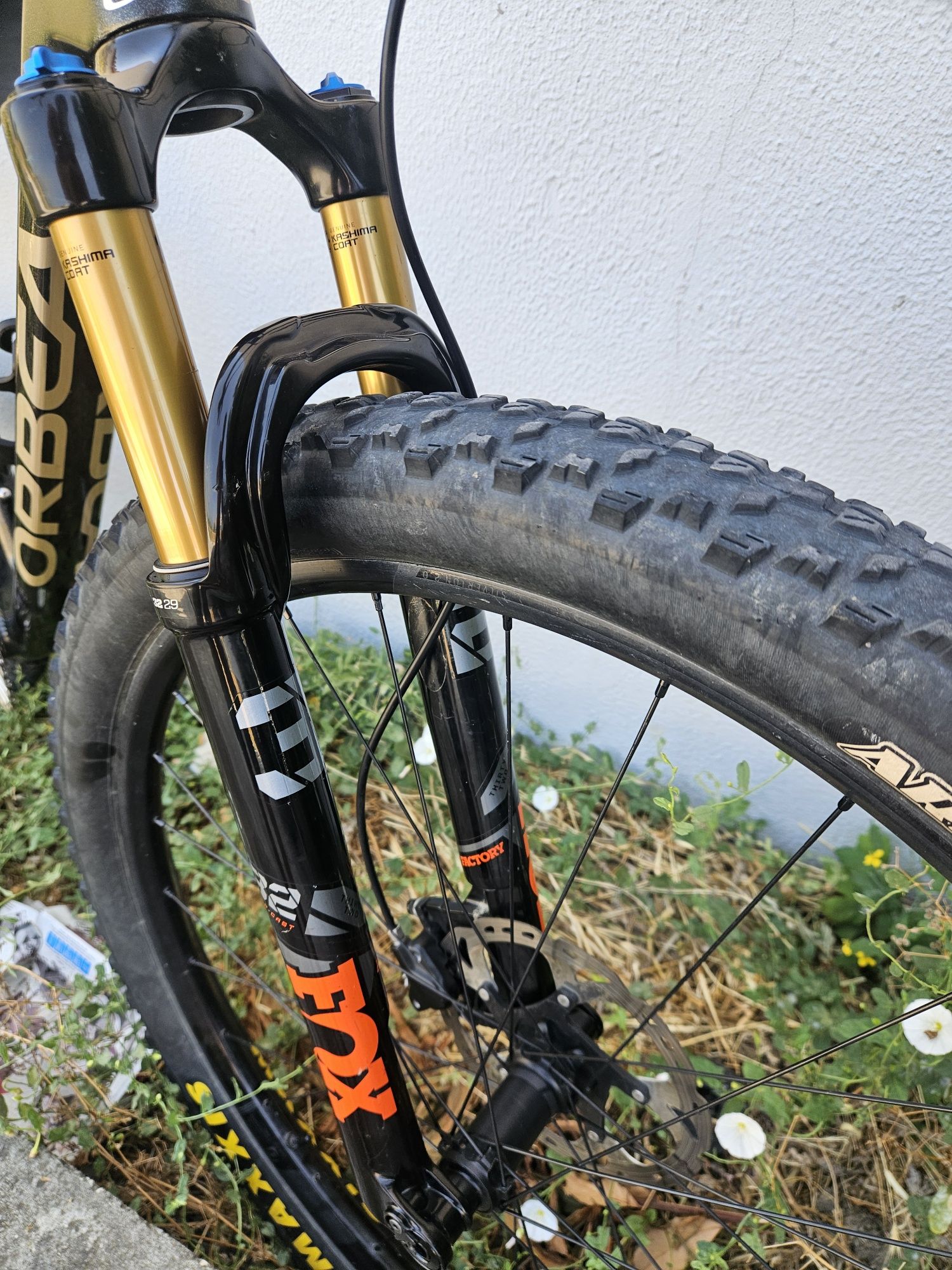 Orbea Alma GX AXS Fox Kashima