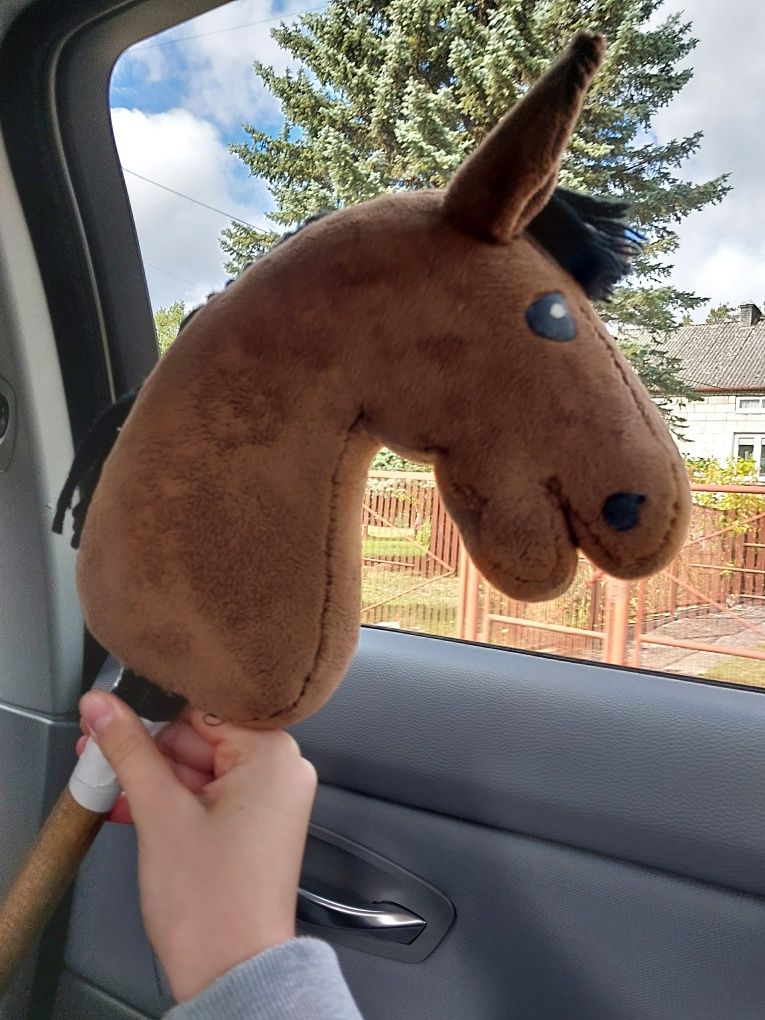 Hobby horse gniady