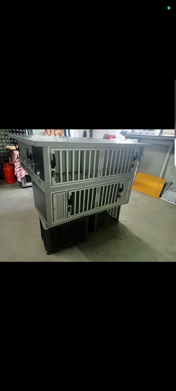 Transportadora para cães