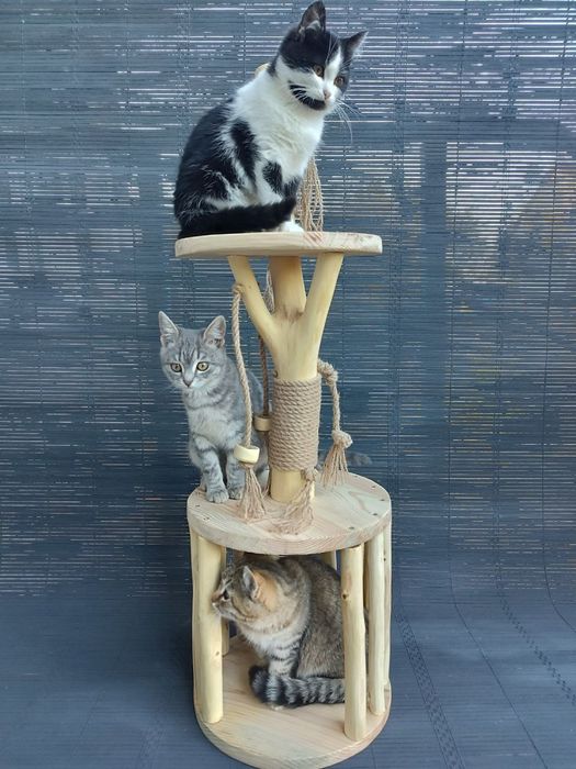 Когтеточка с домиком , Кігтеточка для котів , Дряпка, Котяче дерево ,
