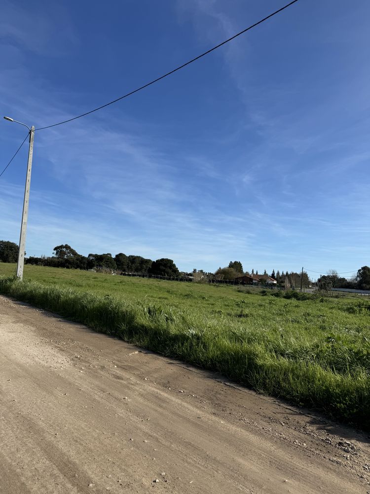 Terreno Rustico Arrendamento