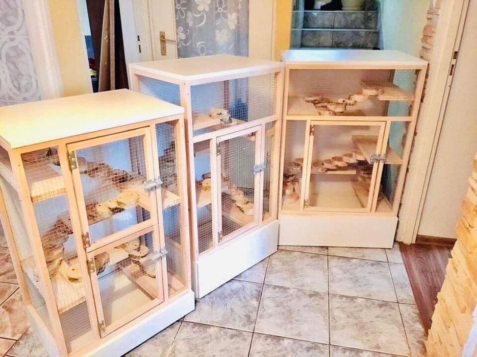 Drewniana woliera / klatka drewniana dla szynszyla, koszatniczki