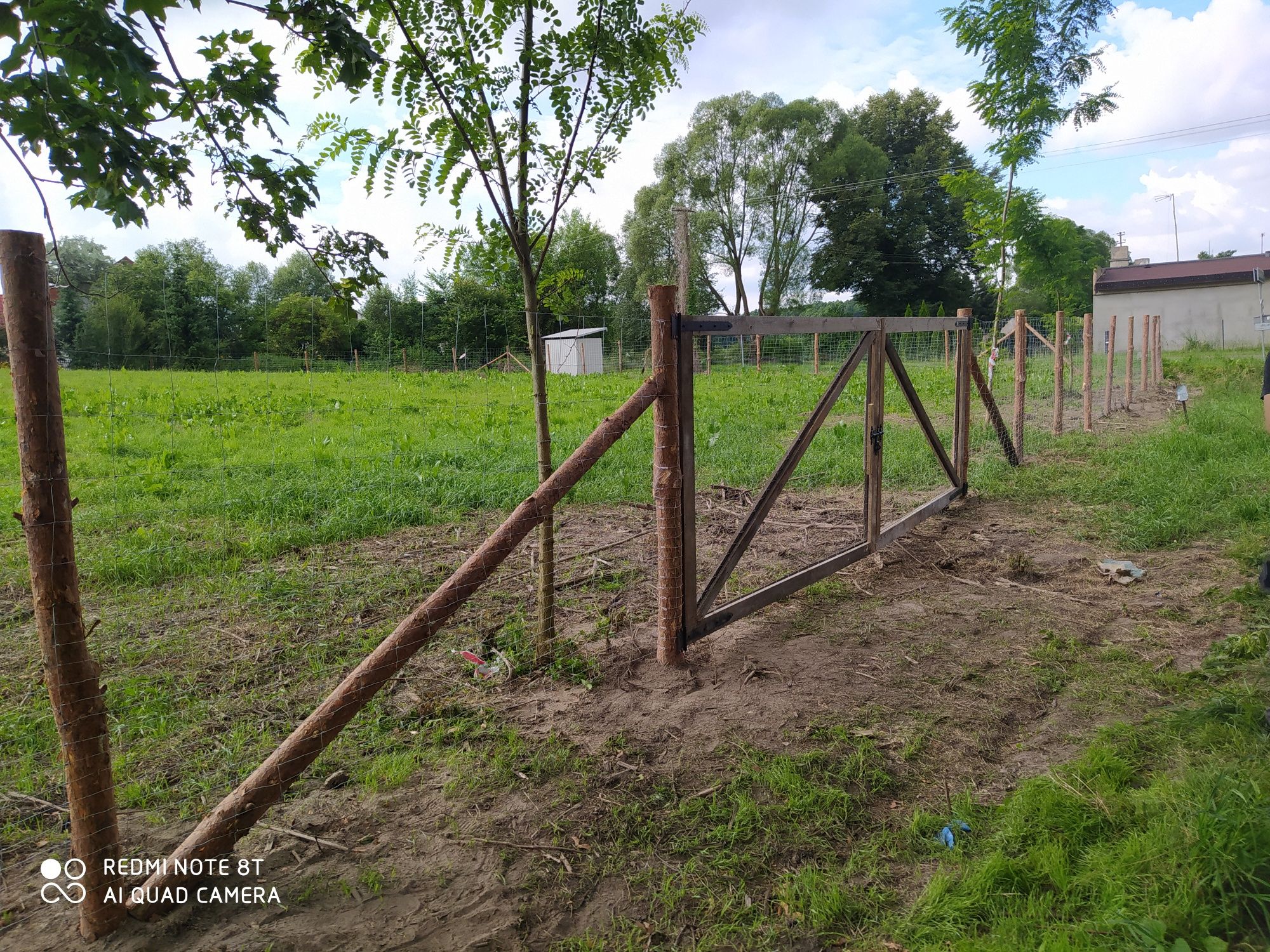 Zakładanie trawników~wycinka drzew~wertykulacja~prace ogrodowe