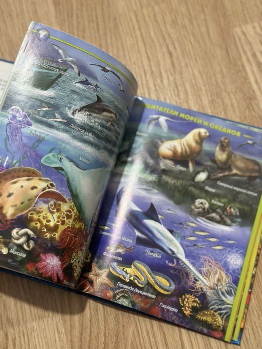 Энциклопедия для детей Жители морей и океанов