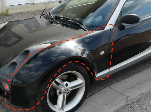 Guarda Lamas Frontal Smart Roadster