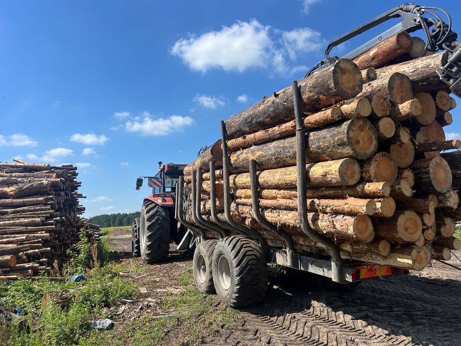 Przyczepa leśna Palms 10D 4,70 model