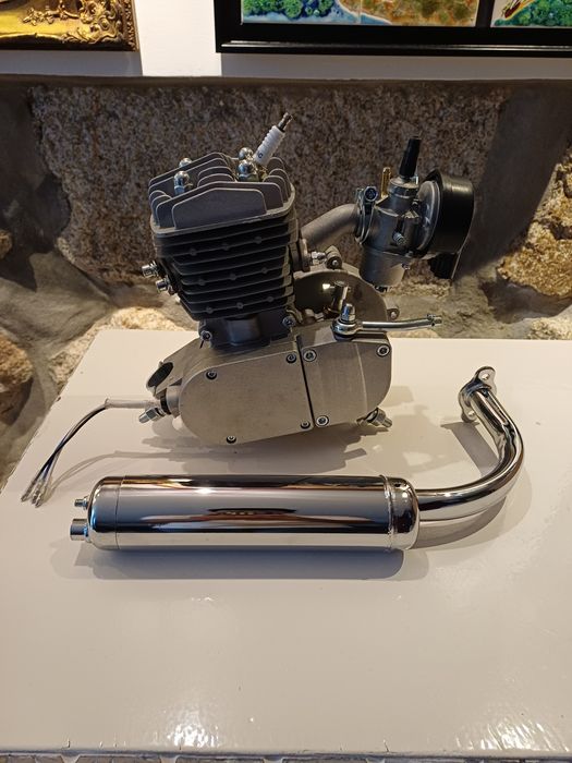 Bicicleta motorizada 80cc