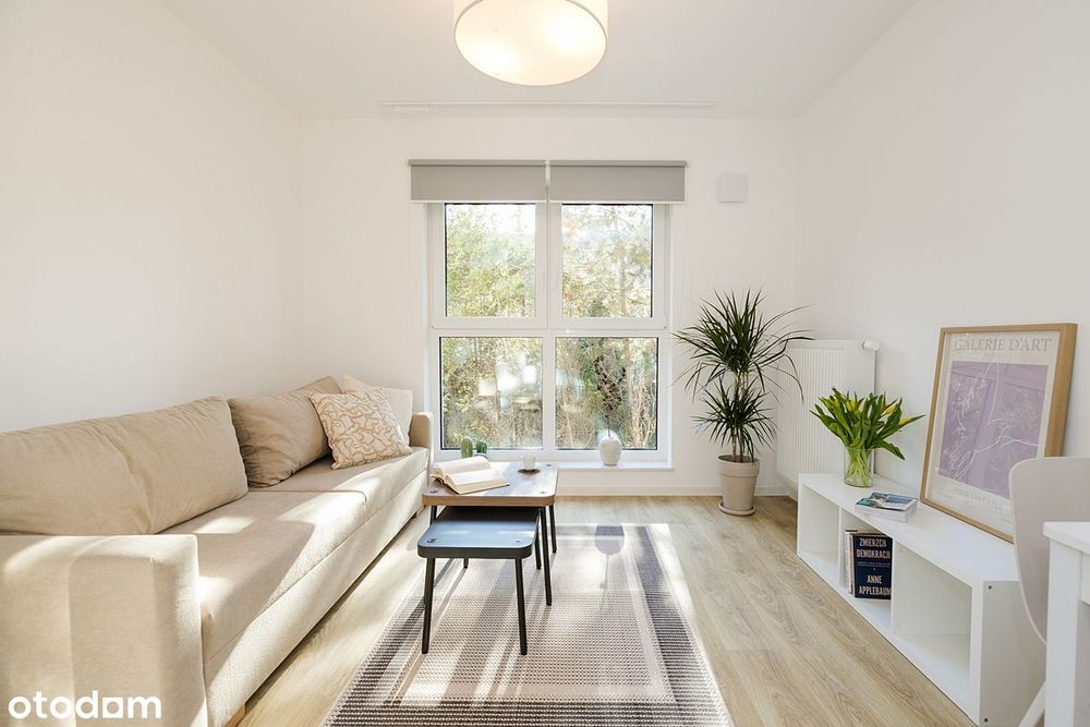 Studio 21 m², jasne, komfortowe, nowoczesne, zwierzolubne