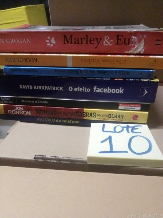 Lote 10 - LIVROS Diversos - Vendidos INDIVIDUALMENTE - Preços Variados