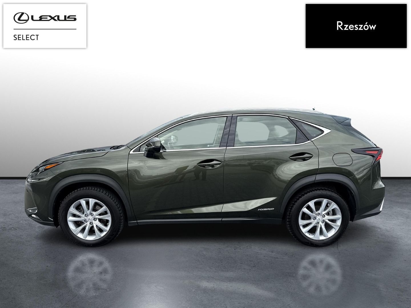 Lexus NX NX300h Business Edition | Piękna zieleń | FVAT 23%