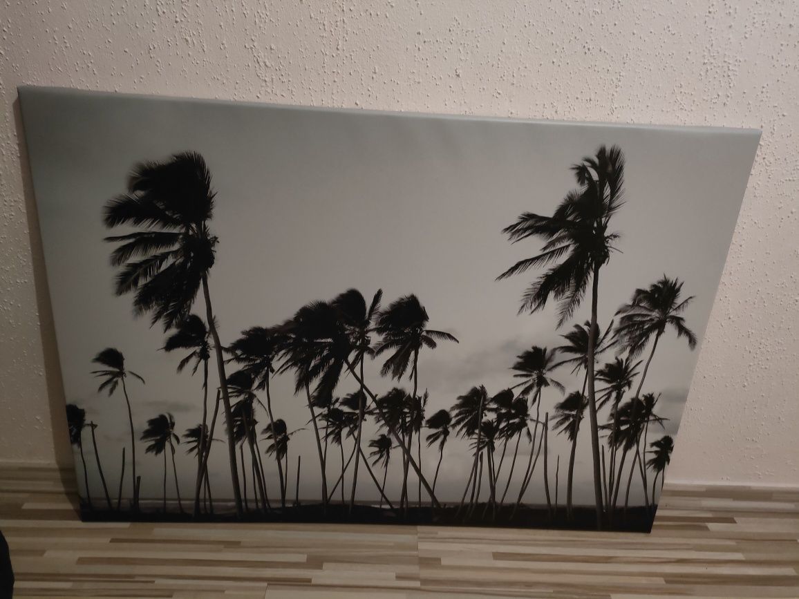 Palmy na płótnie canvas