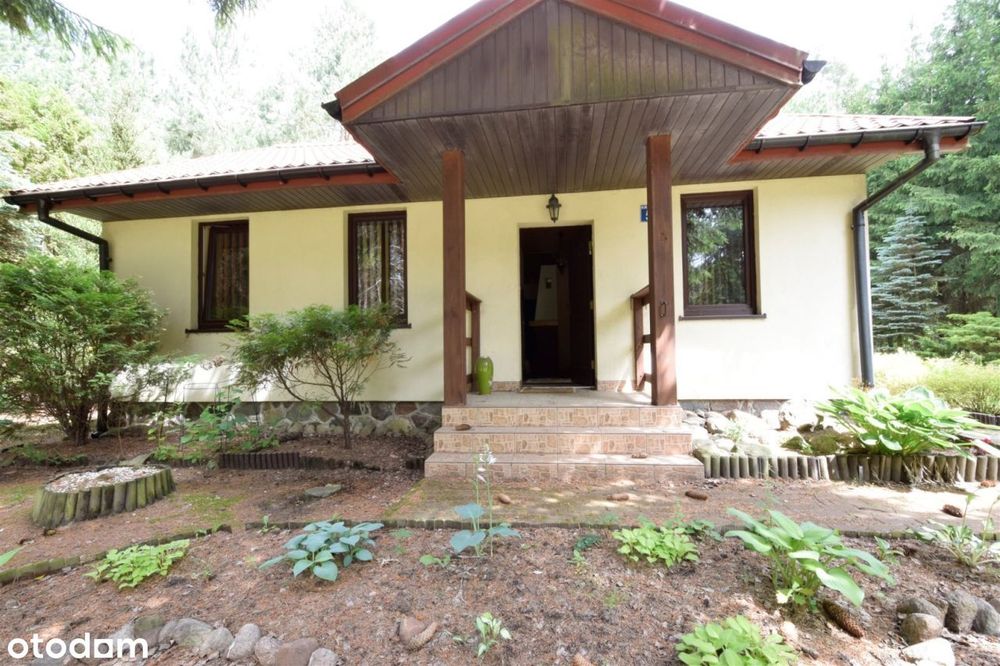 Urokliwy domek w zaciszu lasu 60 km od Warszawy