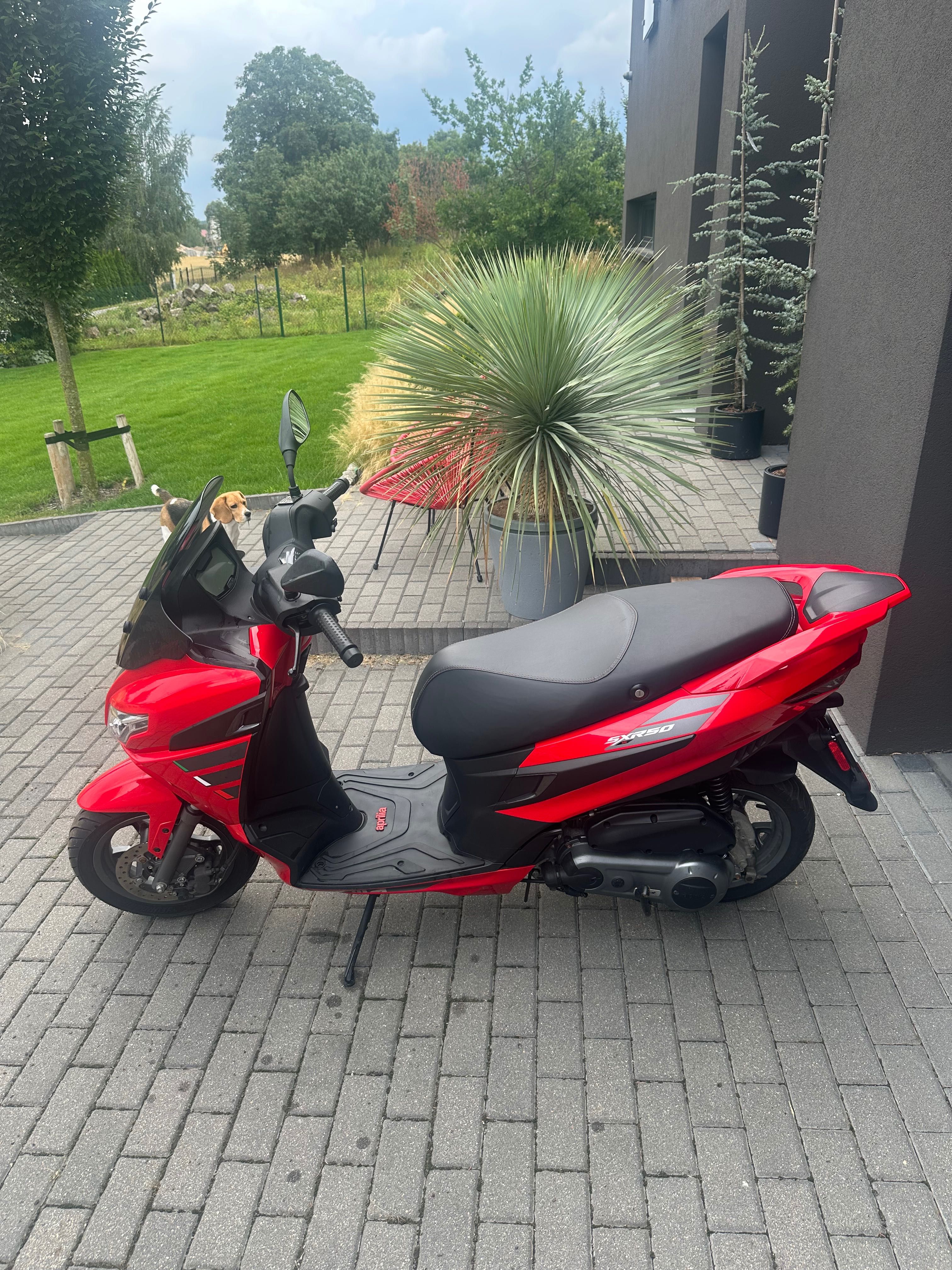 Aprilia SXR 50 2022