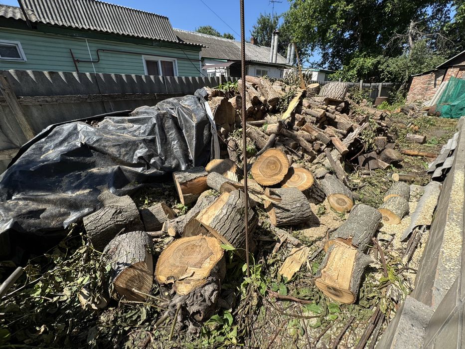 продам дрова самовывоз