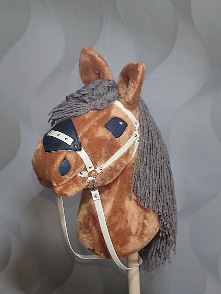 Hobby horse koniki