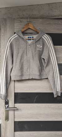 Bluza Adidas M 38