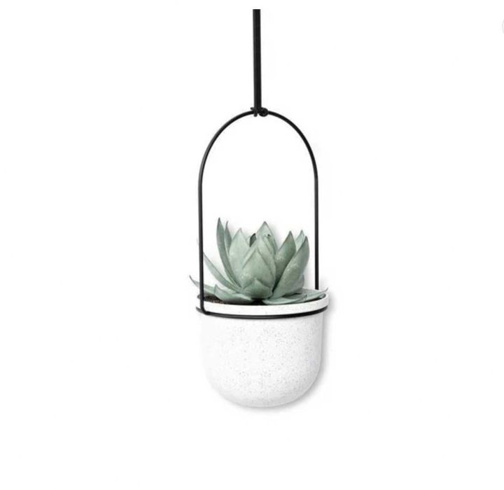 Kwietnik Triflora Black/White