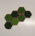 Panel hexagon z mchem chrobotkiem