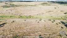 Terreno em Santiago Maior de 237500,00 m2