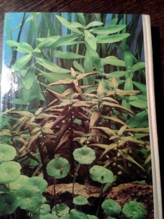 Wielka Księga Roślin Wodnych (Das große Buch der Wasserpflanzen)