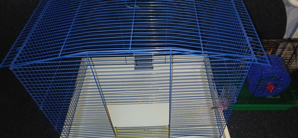 Клітка для гризунів