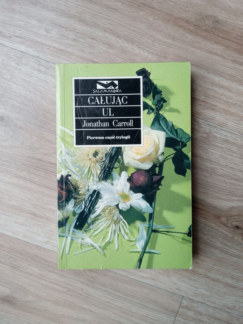 Całując ul, Jonathan Carroll