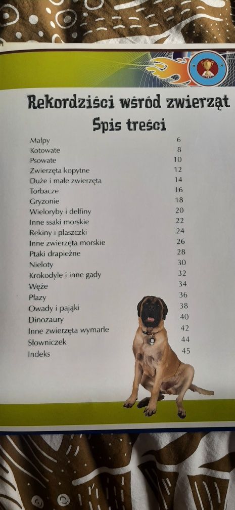 Odkrywanie świata • Rekordziści wśród zwierząt