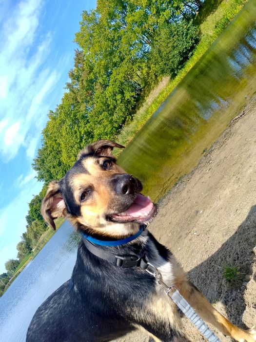 SPAJKY do adopcji