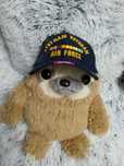 Кепка Vietnam veteran air force