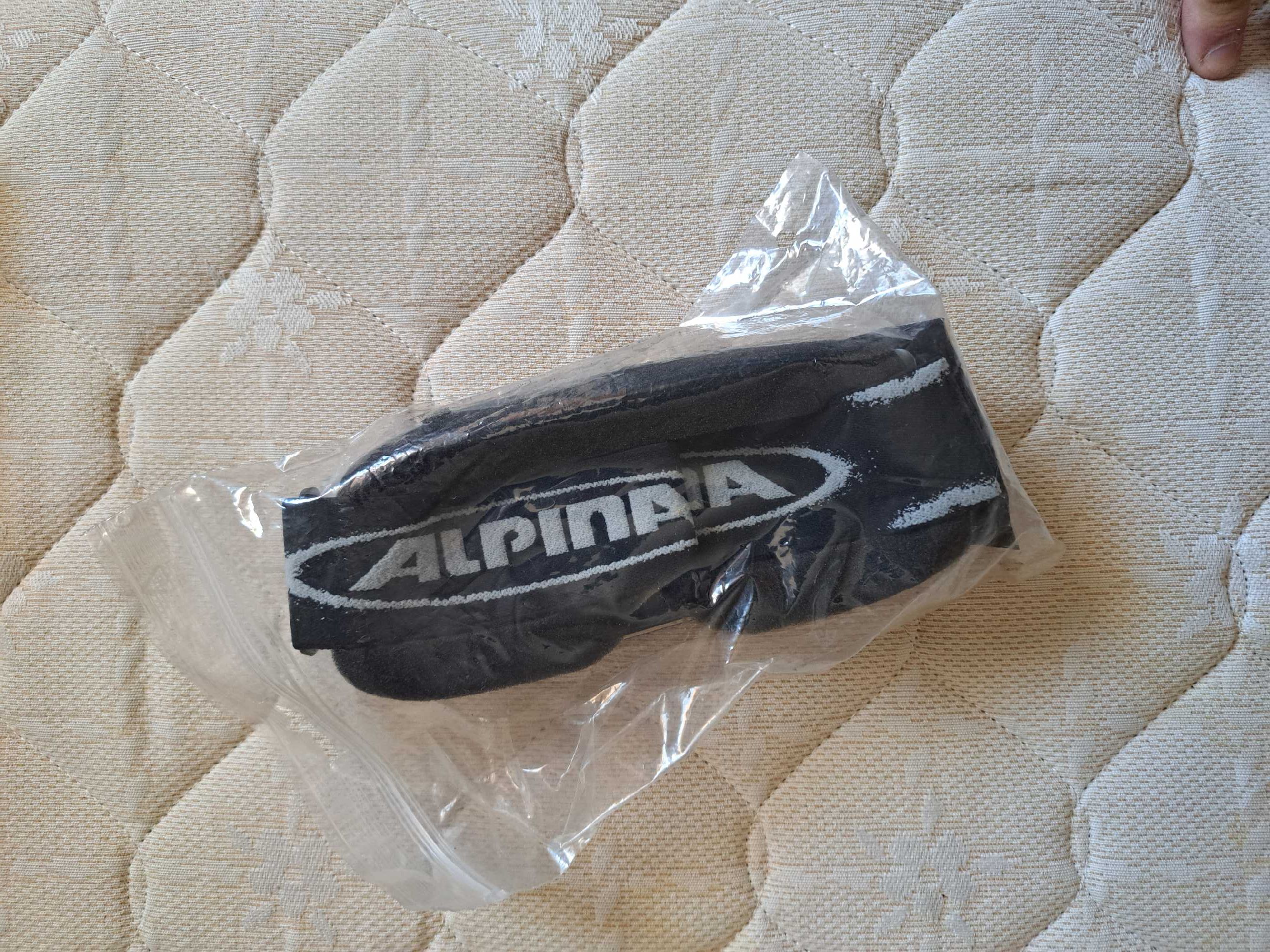 Oculos esqui Alpina