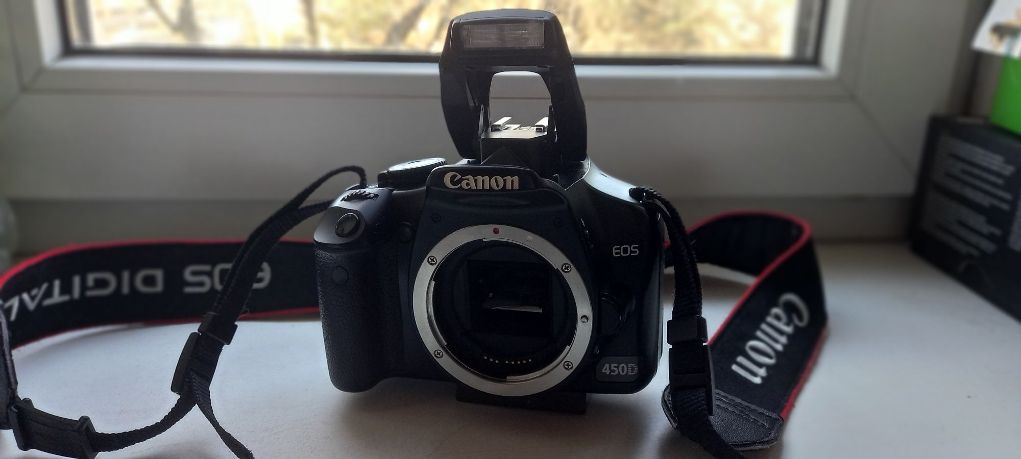 Canon 450 d без объектива.