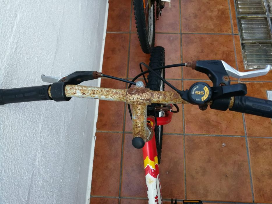 Bicicleta Criança/Jovem