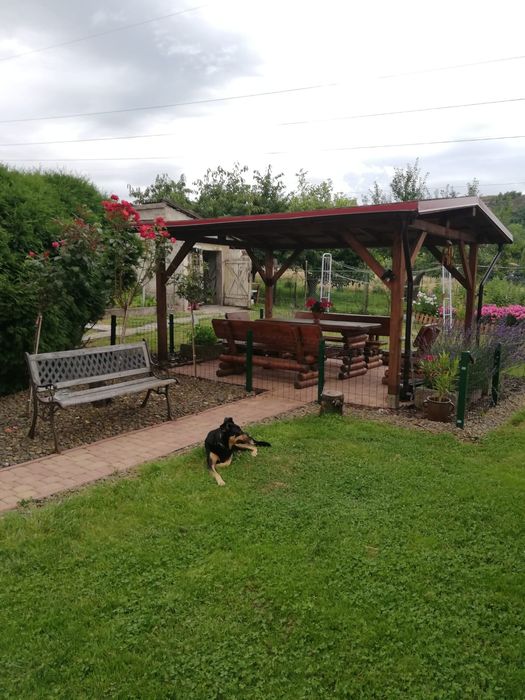 Usługi remontowe i wykończeniowe, budowa drewnianych altan i daszków