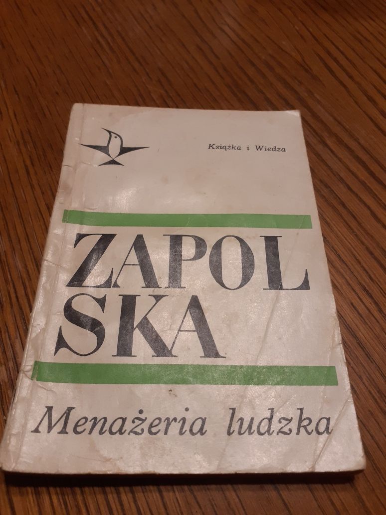 Zapolska, Menadżera ludzka